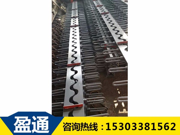 SSFB鋼齒型橋梁伸縮縫?