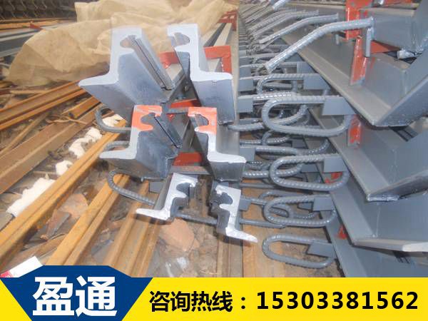 Z型橋面伸縮縫 Z型橋面伸縮縫