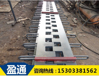 橋梁伸縮縫 橋梁伸縮縫