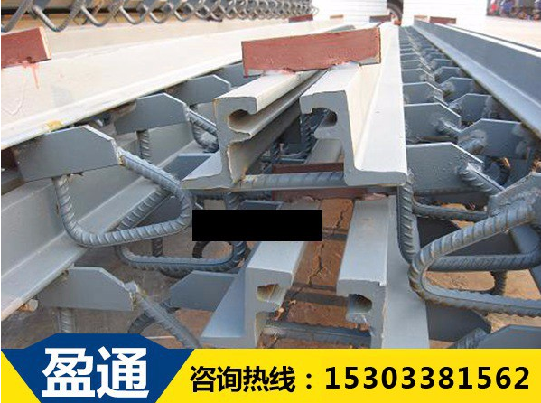 橋梁伸縮縫 橋梁伸縮縫